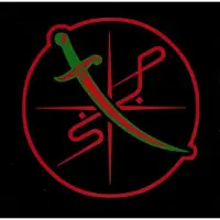 RecordCityJP Shabazz Palaces - Of Light [Vinyl] Clear Vinyl