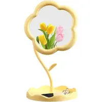 OEM Miroir de maquillage haut de gamme : petit miroir pivotant à 360° pour la salle de bains et la chambre à coucher