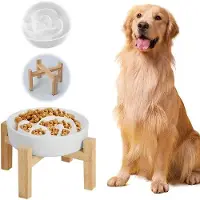 OEM Rampe anti-glissement à base plate pour chiens de taille moyenne et grande - Rampe en céramique à montée progressive pour chiens - 225 cm de long, blanche