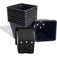 OEM Petits pots en plastique noir de 9 cm - Lot de 10, parfaits pour les bulbes, les fleurs sauvages et les herbes aromatiques