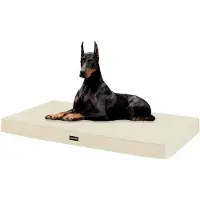 OEM Lit orthopédique pour chien, 120 cm, épaisseur 10 cm, pour grands chiens, housse amovible, imperméable, couleur beige