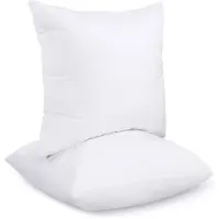 Unyqoos Lot de 2 coussins de remplissage décoratifs, 40 x 40 cm, blanc – remplissage en fibres siliconées douces, coussins intérieurs pour canapé et chambre, emballés sous vide
