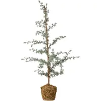 Vita Deco Boom | Vert | Plastique | 82048482