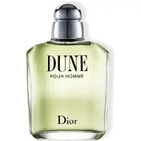 Dior Dune Pour Homme Eau de Toilette 100ml