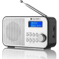 GoGen DAB 300 N avec la DAB+