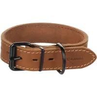 Flamingo Collier pour chien Montana, marron, 350-450 mm x 35 mm (Chien)