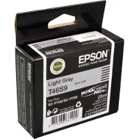 Epson T46S9 - Gris clair - Cartouche d'encre
