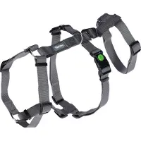 Kerbl Panikgeschirr Miami (Grau, Halsumfang 38 - 52 cm, Brustumfang 55 – 74 cm)