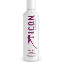 I.C.O.N. Shampooing complet antioxydant 250ml
