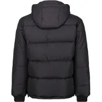 Regatta - Veste isolante pour hommes RG10046 (L) (noir)