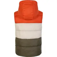 Regatta - Gilet matelassé « Jolly » pour enfants RG9369 (104) (thé rooibos/vert tressé)