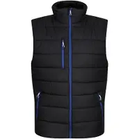 Regatta - Gilet « Navigate » pour homme LT237 (XXL) (noir/bleu roi)