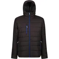 Regatta - Veste matelassée « Navigate » pour homme LT228 (3XL) (noir/bleu roi)