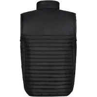 Regatta - Gilet « Honestly Made » en matière recyclée pour homme LT404 (M) (noir)