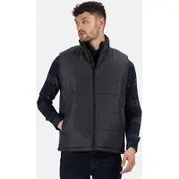Regatta Gilet matelassé pour homme Access, isolé LT335 (L) (gris foncé/noir)