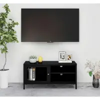 Prolenta Maison Exclusive - Meuble TV noir 90 x 30 x 44 cm en acier et verre