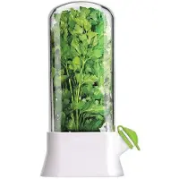 OEM Boîte à herbes pour le réfrigérateur - vanille fraîche, coriandre, asperges et menthe poivrée - Permet de conserver les légumes frais pendant 2 à 3 semaines - Boîte monobloc