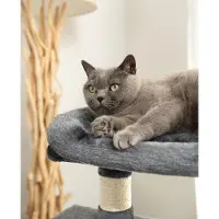 Markenlos Arbre à chat pour chats avec 2 grottes & couchage confortable - Hauteur 80 cm, balle en peluche et clochette incluses - Sisal et peluche - Convient aux petits & grands chats - Gris foncé
