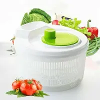 OEM Lave-salade pour légumes - coupe, rince et conserve - pour salades et légumes - avec filtre - pour légumes à feuilles - 22 x 15 cm - 50 L
