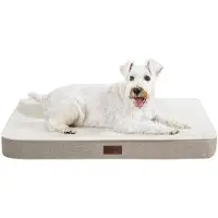 OEM Lit orthopédique pour chien – Antidérapant et lavable – Lit moelleux avec housse amovible – Matelas pour chien protégeant les articulations – 76 x 51 x 8 cm, kaki clair