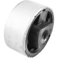TEDGUM Fixation du différentiel 00028606
