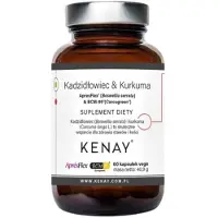 Kenay Encens Curcuma ApresFlex Bcm 95 (60 capsules) 5900672155198