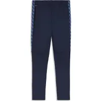 Puma Pantalon TeamLIGA26 66092406