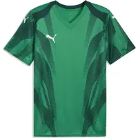 Puma Hommes, T-shirt de sport, teamFINAL Graphic+ Jersey (XXL), Blanc, Vert, XXL
