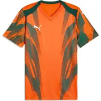 Puma Hommes, T-shirt de sport, teamFINAL Graphic+ Jersey (M), Blanc, Orange, M