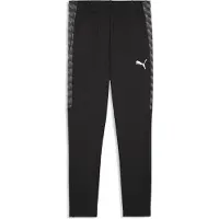 Puma Hommes, Bas de sport, teamLIGA26 Training Pants+ (3XL)