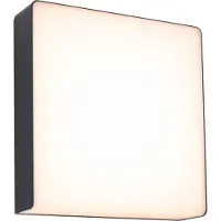 Paulmann Luminaires d'extérieur , Azalena, Noir, Aluminium