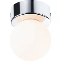 Paulmann Selection Bathroom Plafonnier Gove