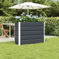 Prolenta Maison Exclusive - Bac à plantes anthracite 100 x 40 x 75 cm en acier