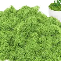 OEM Gazon synthétique 200 g pour la décoration, gazon synthétique islandais pour la décoration, gazon synthétique pour les loisirs créatifs et la décoration