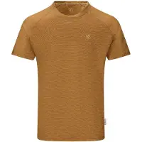 Regatta T-shirt Dare 2B « Persist » pour homme RG6887 (L) (noir cumin)