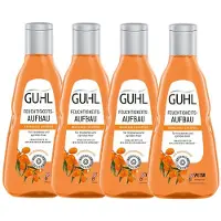 ‎Guhl Ikebana Cosmetics B.V. Guhl shampooing hydratant pour cheveux secs 250ml pack de 4