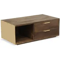 Menzzo Table basse Firmin Bois et Métal Or