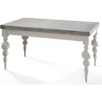 Alpi Möbel Lena Table de salle à manger, rectangulaire, extensible, dimensions : 200-300 x 100 x 78,5 cm, table de salon, couleur : gris, avec pieds de couleur blanche