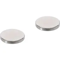 Bgs -79911 Jeu d'aimants extra forts Ø 18 mm 2 pcs.