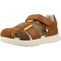 Biomecanics 262230b Couleur Marron