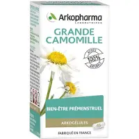 Arkopharma Arkogélules Grande Camomille 45 Gelules