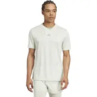 Adidas T-Shirt fonctionnel 'HIIT Airchill' gris / vert pastel