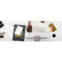 Keysonic 61106 MSM KSM-4006-UT Corded Trackball-Maus schwarz