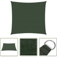 The Living Store Voile d'ombrage 160 g/m² vert foncé 4x4 m HDPE