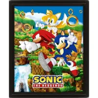 Ginza.se Sonic The Hedgehog poster effet 3D Catching Rings 26 x 20 cm