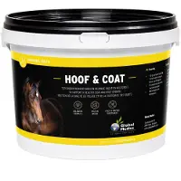 Global Medics Hoof&Coat Chevaux Poudre 2 kg Poudre