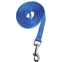 Zolux Laisse - Lais - Nyl Cushion - 1,20 M - 25 Mm - Bleu