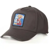 Hydroponic Dragon Ball Z Super Saiyan Cap Gris
