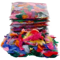 Creativ Company Plumes duveteuses, 7-8 cm, couleurs assorties, 500 g