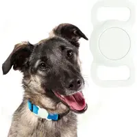 Usorteret Housse pour Apple AirTag sur le collier, Pet Collar, vert clair